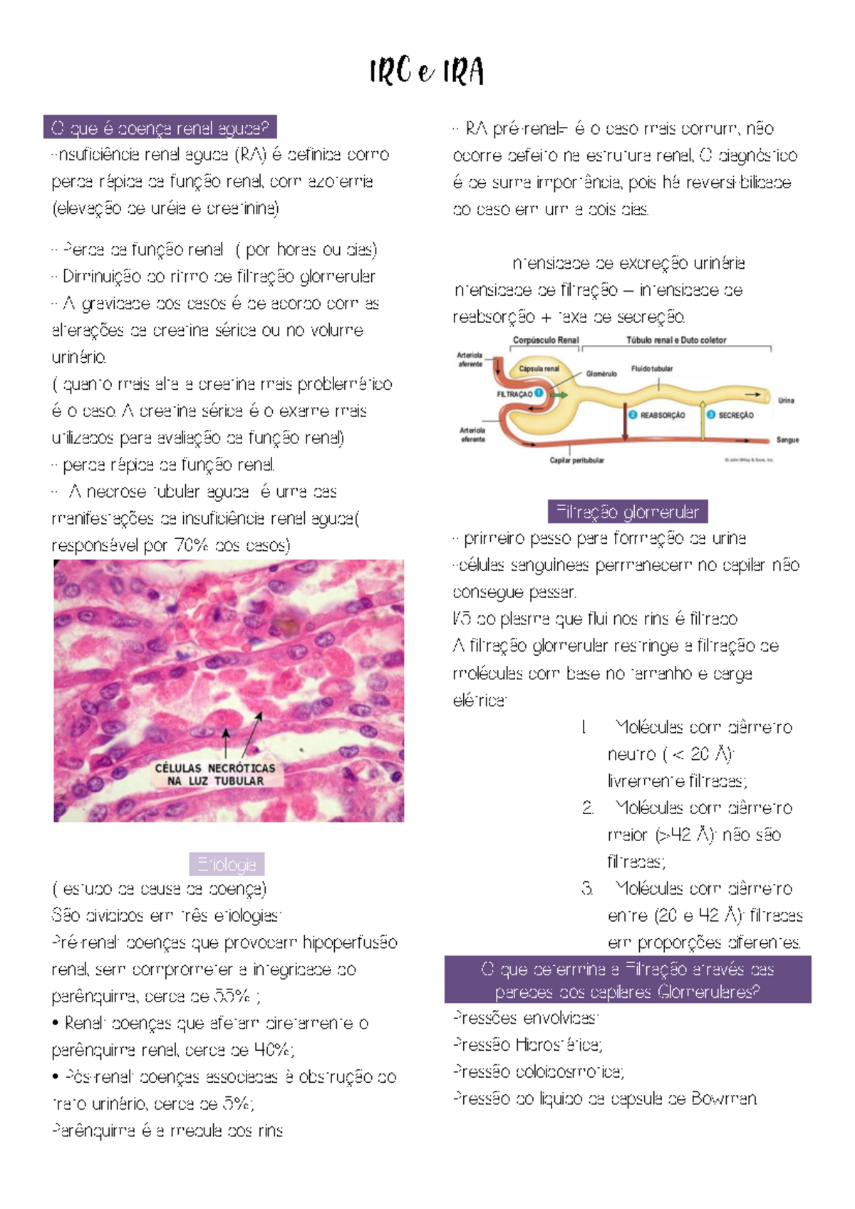Resumo de IRC e IRA: Infecção Renal Aguda e Crônica - Estudo e ...
