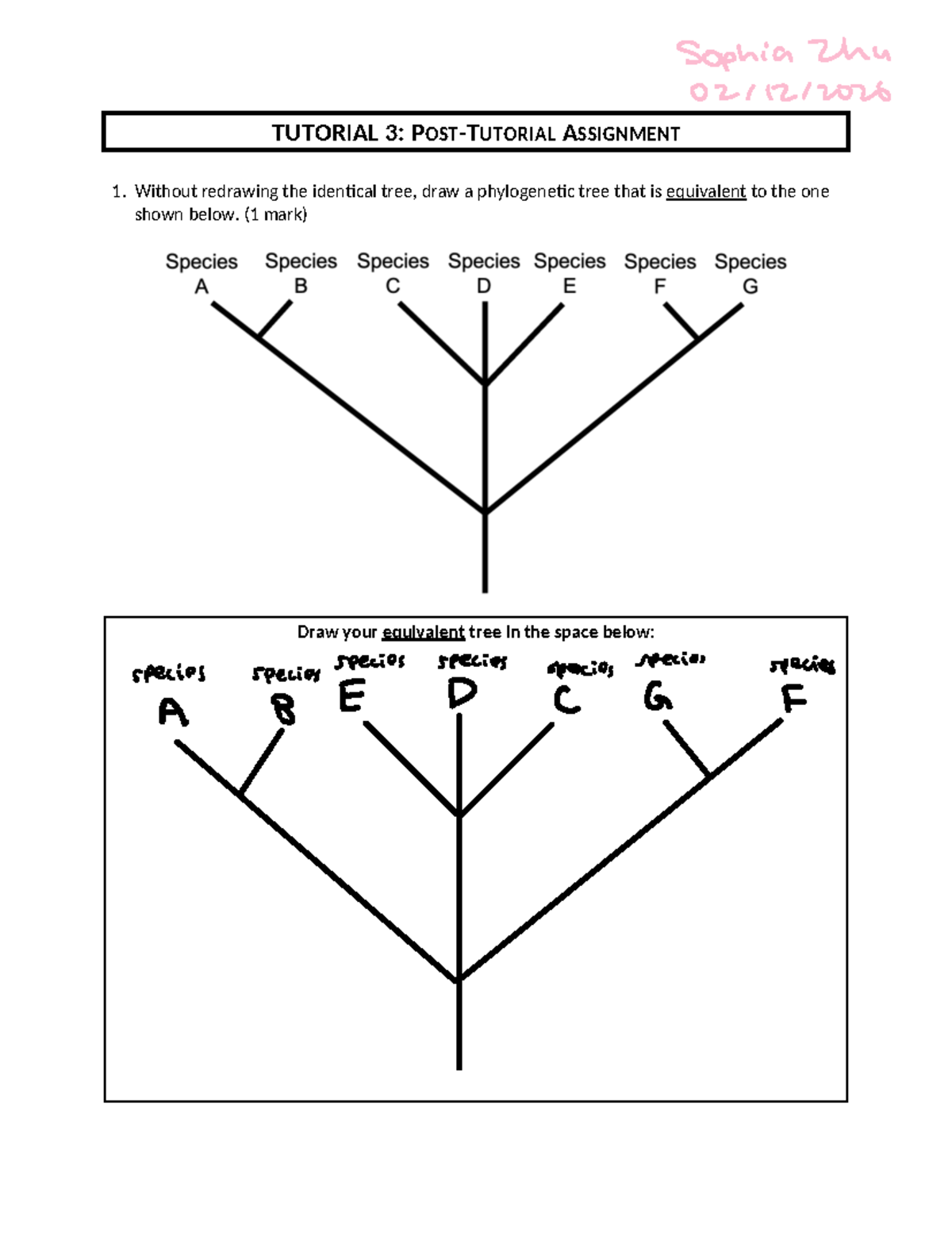 Post-Tutorial 3 Assignment - Phylogenetic Tree Analysis - SZ - Studocu