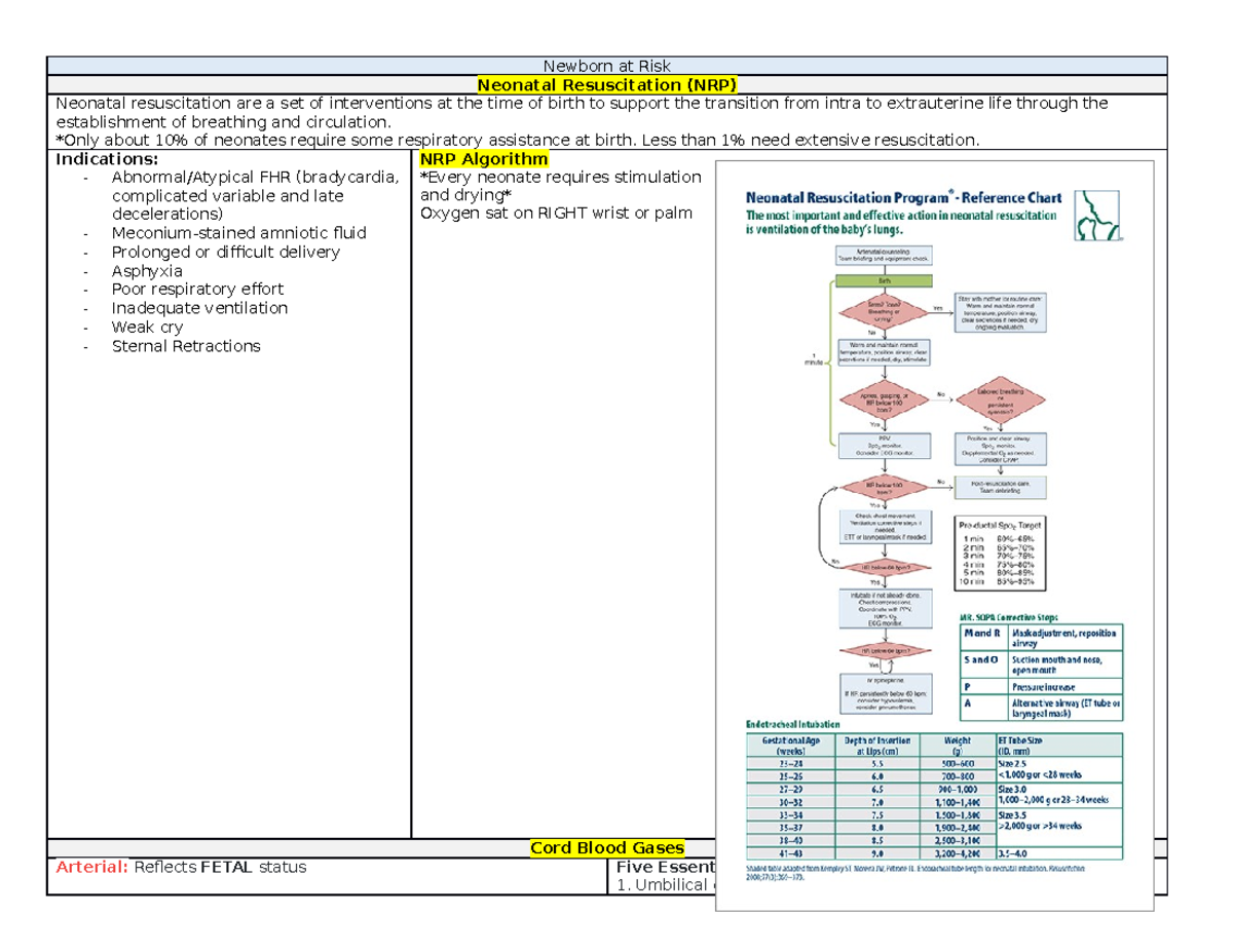 Newborn Concept Map Time Zones Map Time Worksheet: NEW 808 TIME ZONES