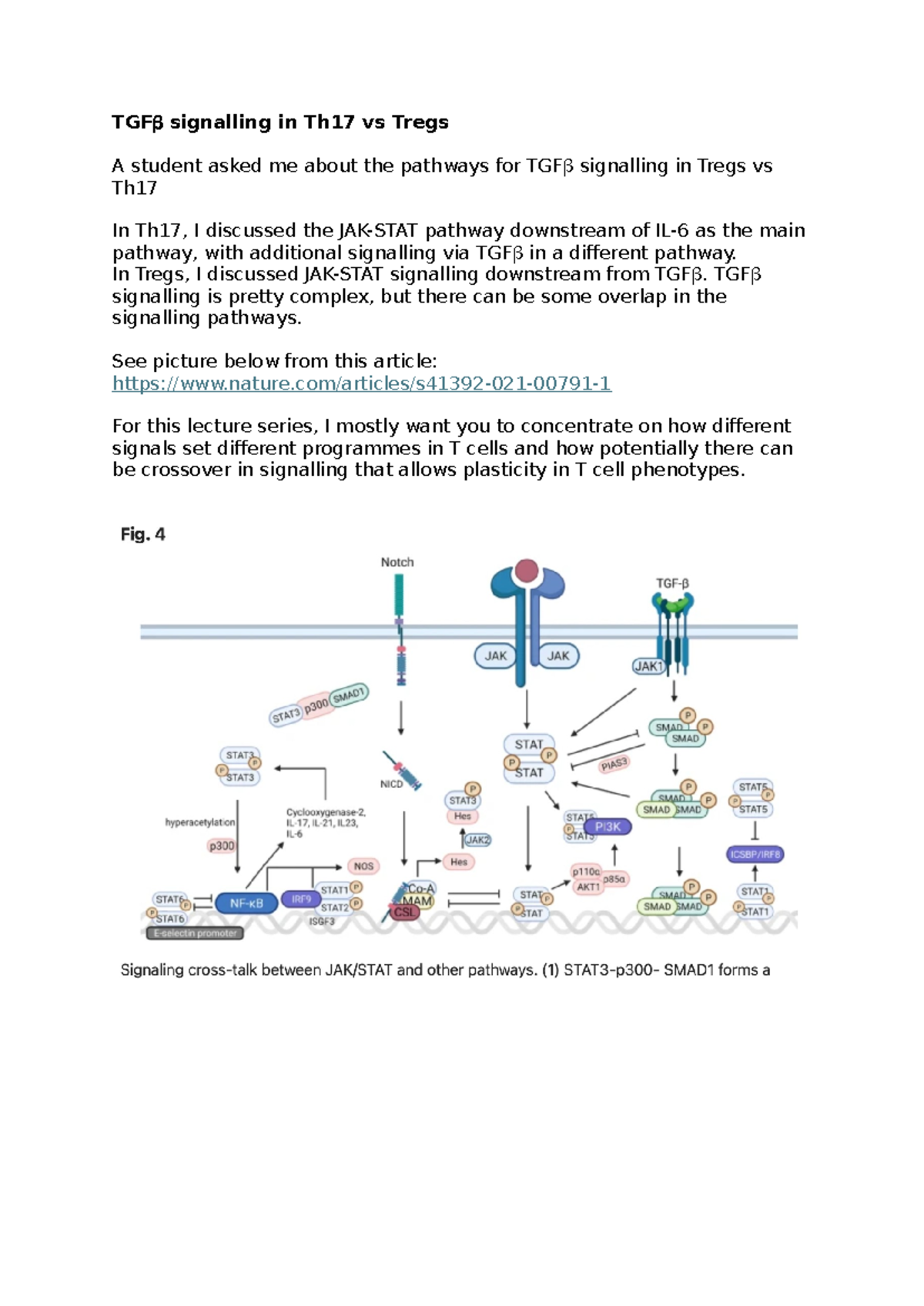 TGFb Signaling Pathways in Th17 and Tregs: Lecture Insights - Studocu