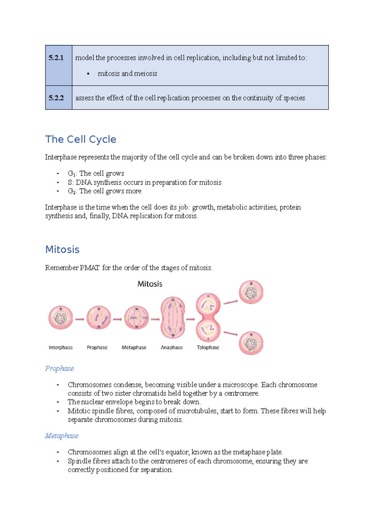 Cell Replication Processes On The Continuity Of Species