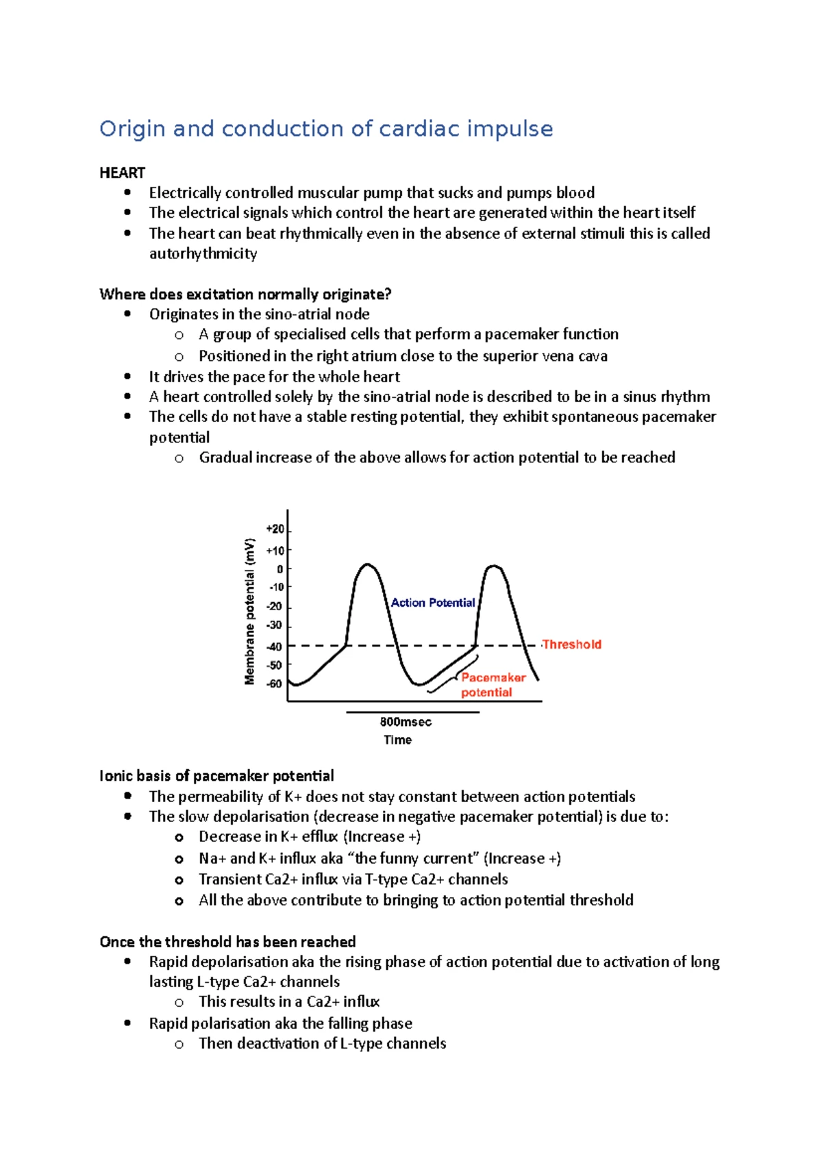 Summary of Haematopoiesis and Red Blood Cell Structure - Studocu