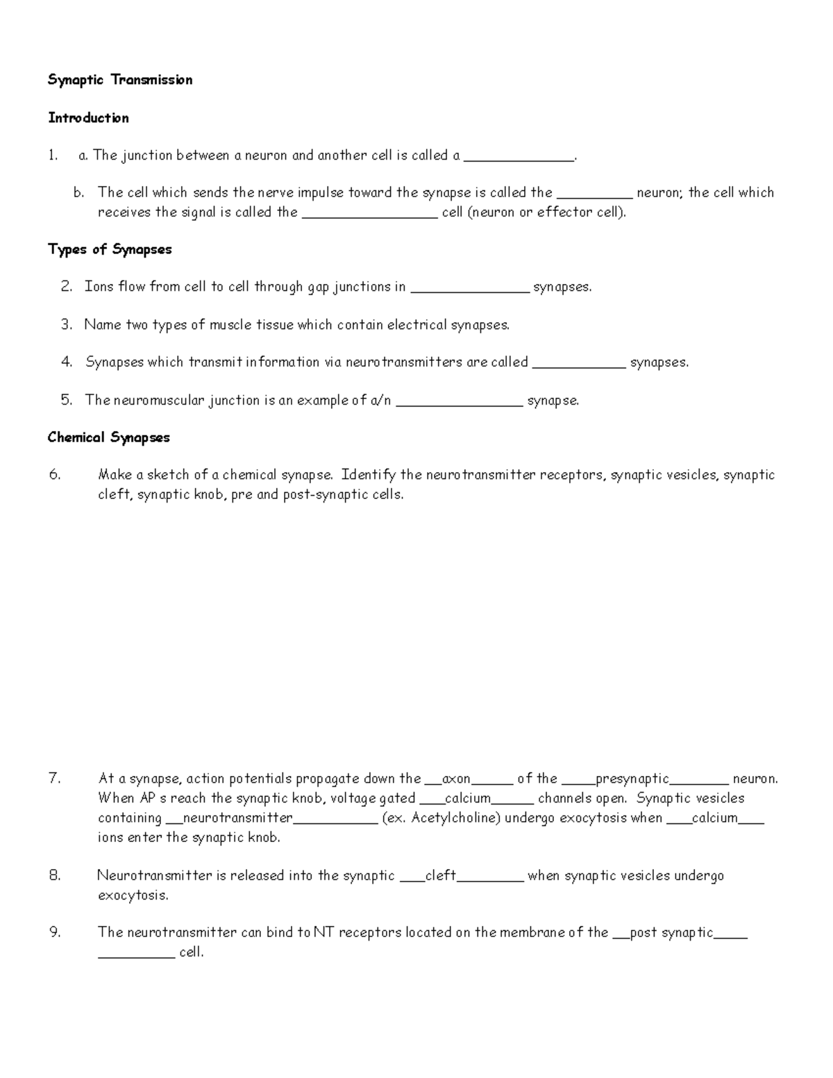 Ch 12 Synaptic Transmission Worksheet - Final Exam F18 - Studocu