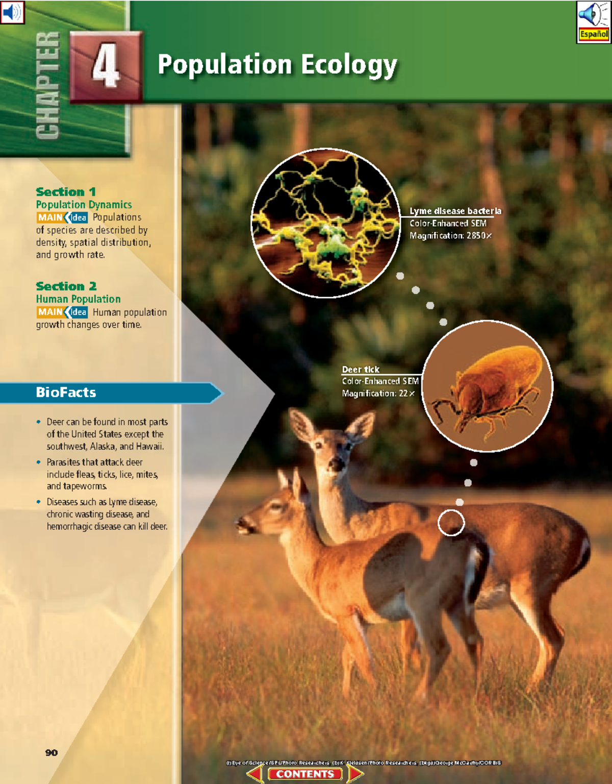 Zebra Population Ecology: Dynamics and Trends Analysis - Studocu