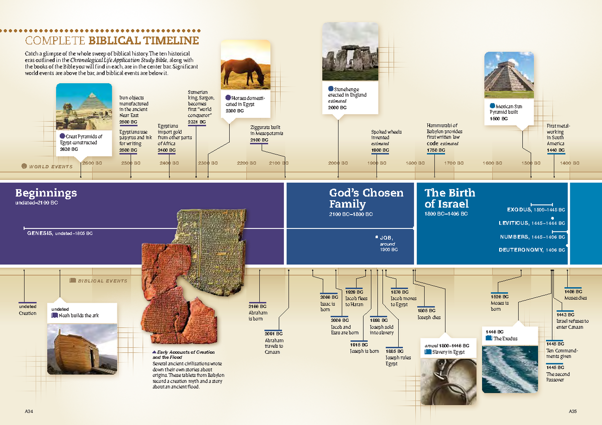 Amazon.com: Biblical History Timeline and Family Tree Genealogy Canvas  Schematic Canvas Poster Modern Aesthetic Picture Wall Art Home Office  Decoration Painting Holiday Gift (Framed,16×24inch) : Everything Else
