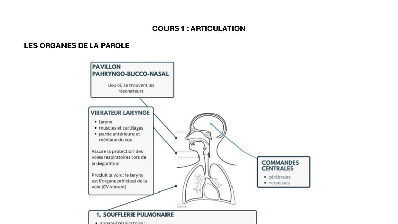 Cours 1 : Articulation des Organes de la Parole et Phonétique - Studocu