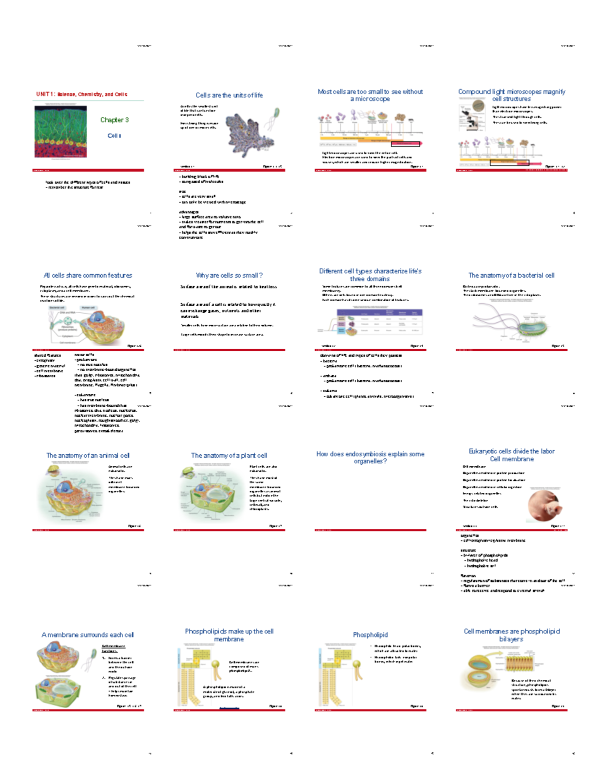 CH03: Cells - Key Structures and Functions in Biology Overview - Studocu