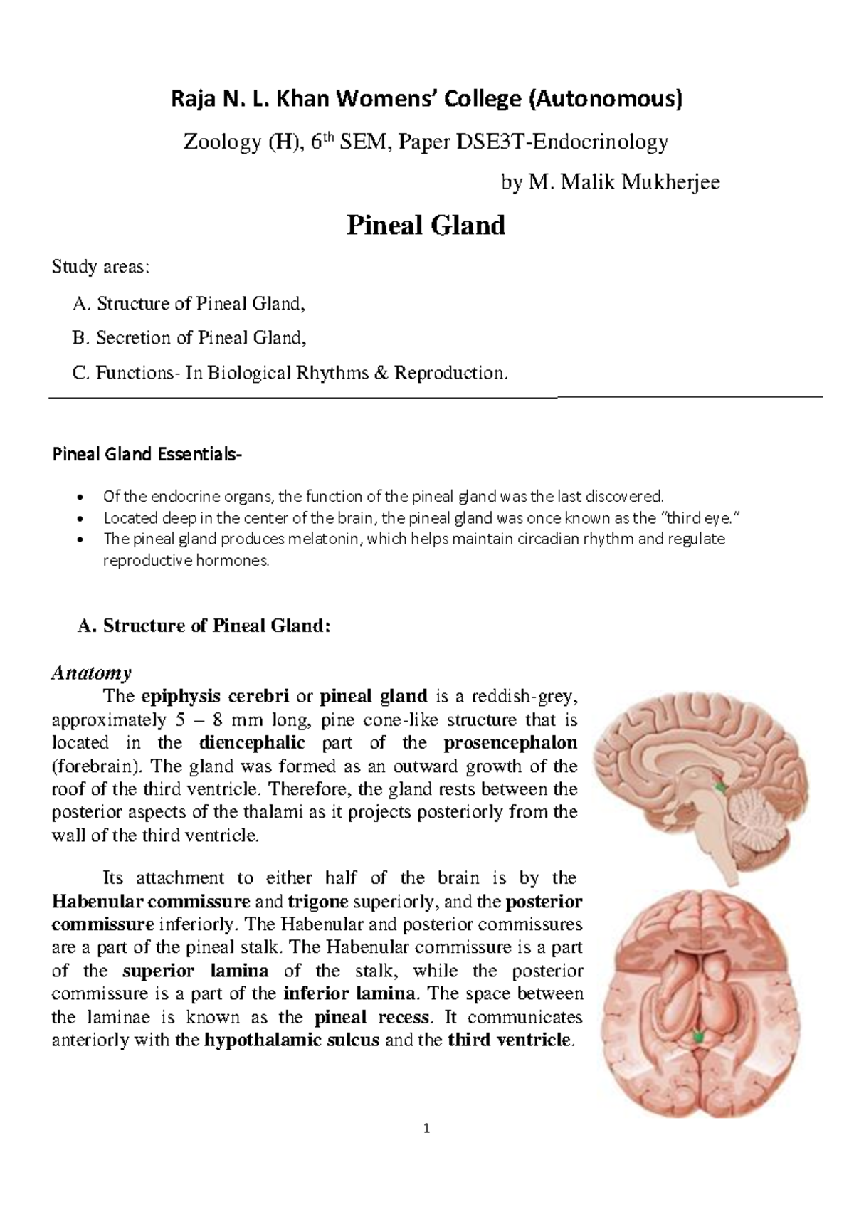 Zoology DSE3T Pineal Gland Lecture Notes - 6th SEM Endocrinology - Studocu