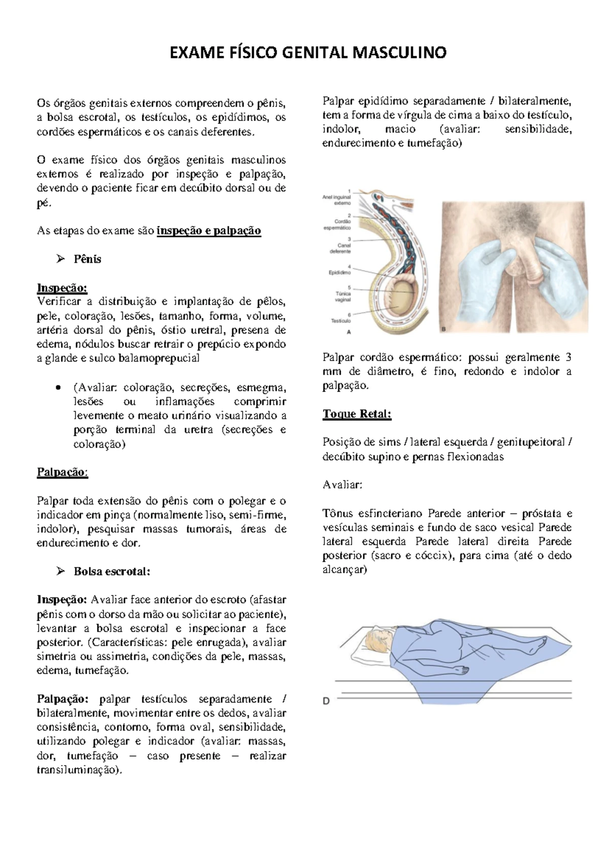FESAR 5 - Exame Físico Hematolinfopoiético: Procedimentos e Avaliação ...