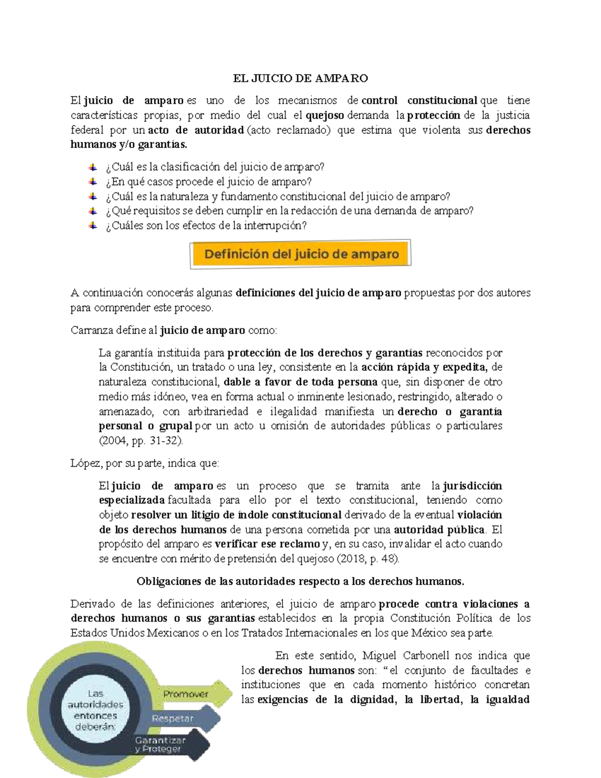 EL JUICIO DE AMPARO: ANÁLISIS Y PROCEDIMIENTOS LEGALES (CÓDIGO: AMPARO ...
