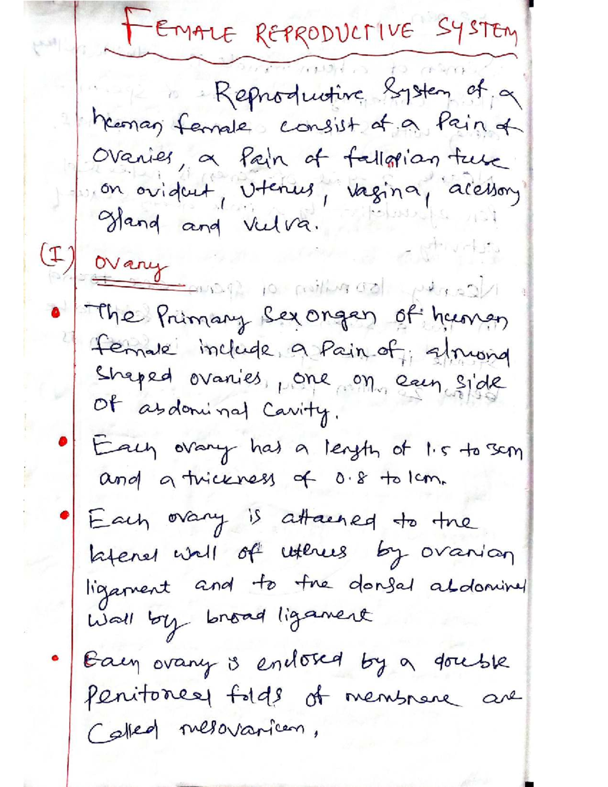 **Title: BIO 101: Female Reproductive System Overview** - Studocu