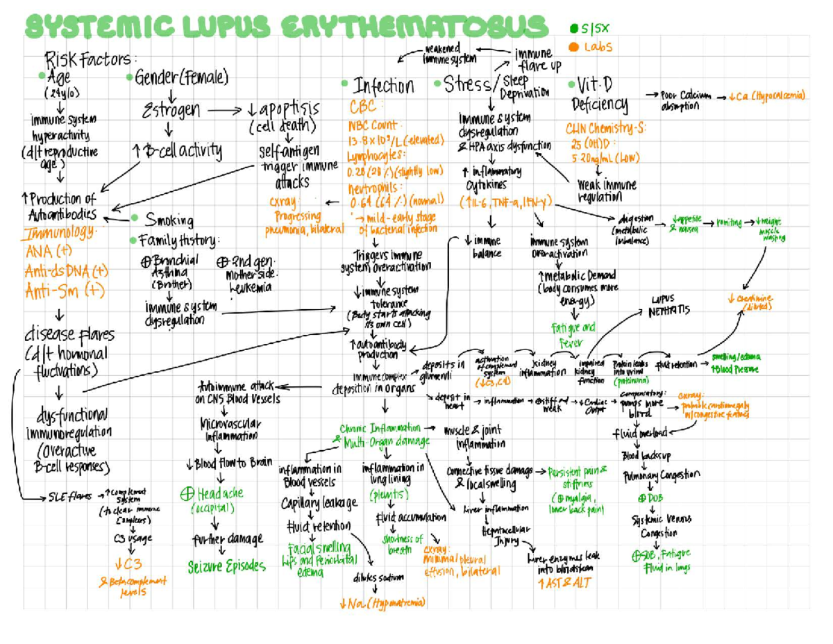 SLE-Pathophysiology - SLE Pathophysiology - SYSTEMIC LUPUS ...