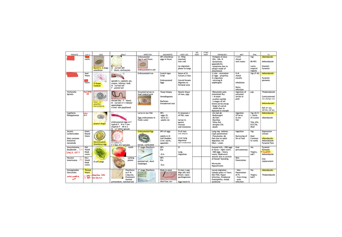 Parasitology Exam Notes: Cestodes, Nematodes, and Trematodes Study ...