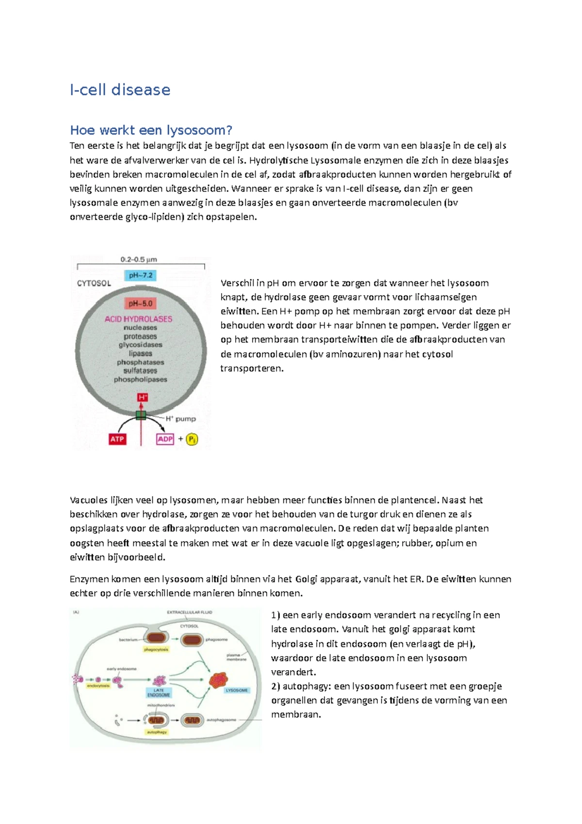 Plastiden in Celbiologie: Functies en Structuren van Organellen ...