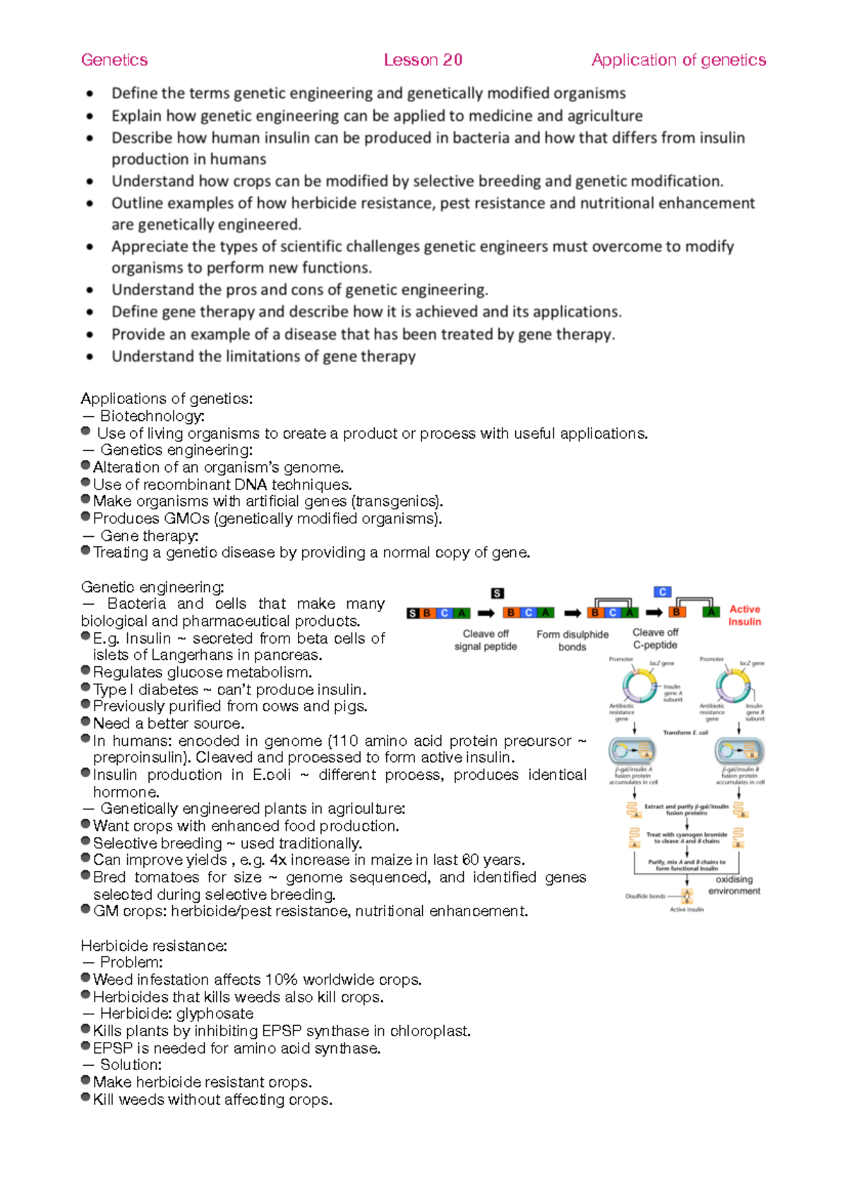 Genetics Lesson 20: Applications of Genetic Engineering & Biotechnology ...