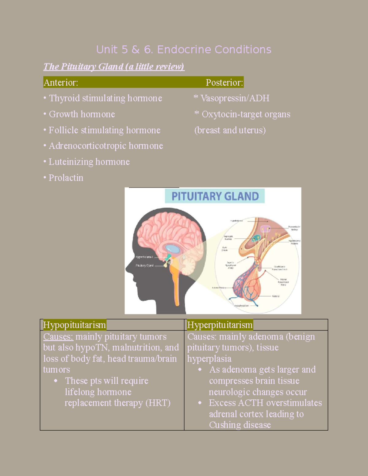 Unit 5 & 6: Endocrine Conditions Review for Advanced Med Surge - Studocu