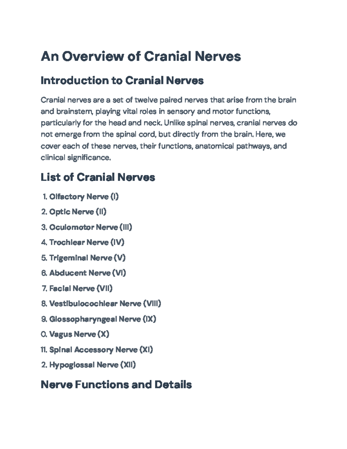 Anatomy and Functions of Cranial Nerves: An Overview for Exam Prep - An ...
