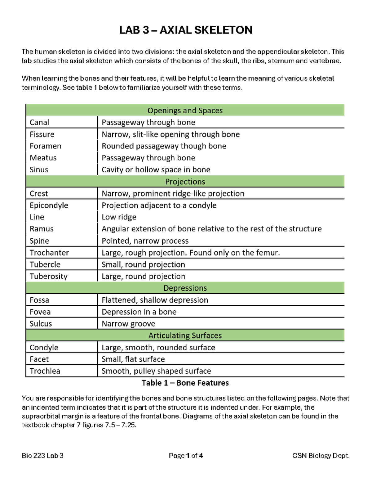 Bio 223 Lab 3: Axial Skeleton Study Guide and Key Components - Studocu