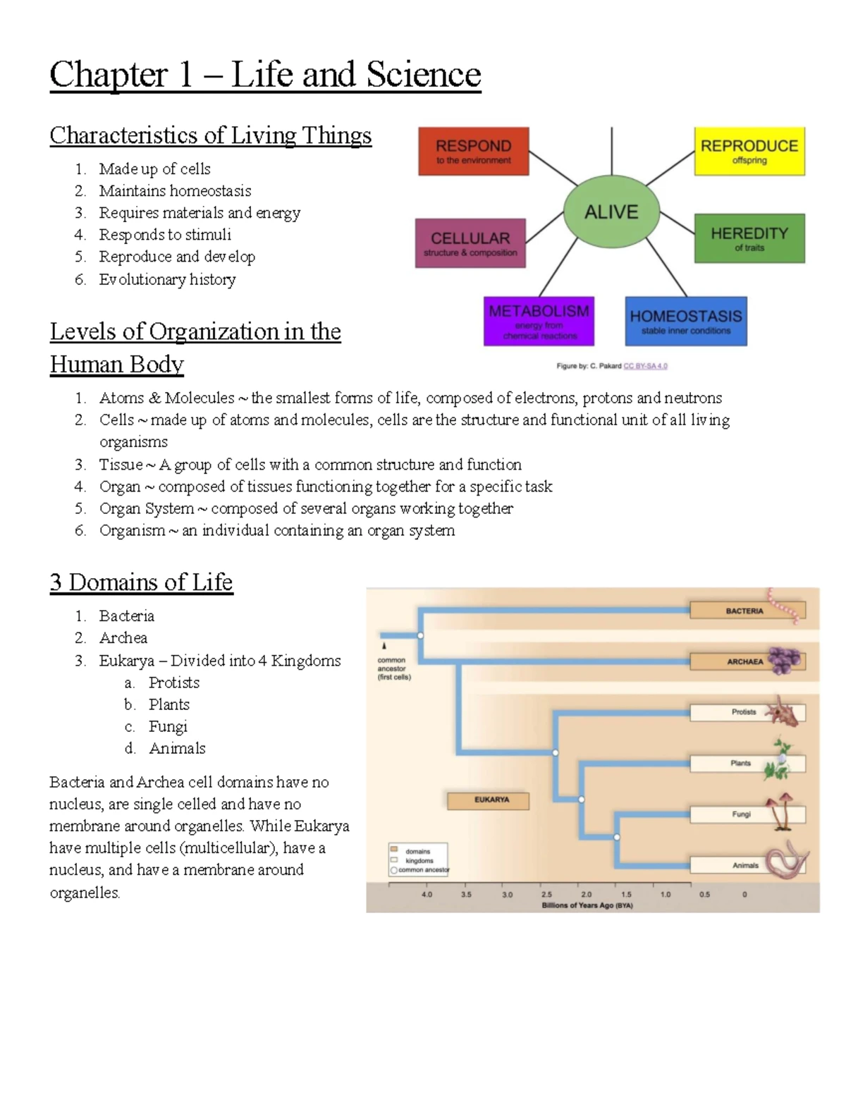 SCIE 148 - Chapter 2: Chemistry of Life and Biological Molecules - Studocu