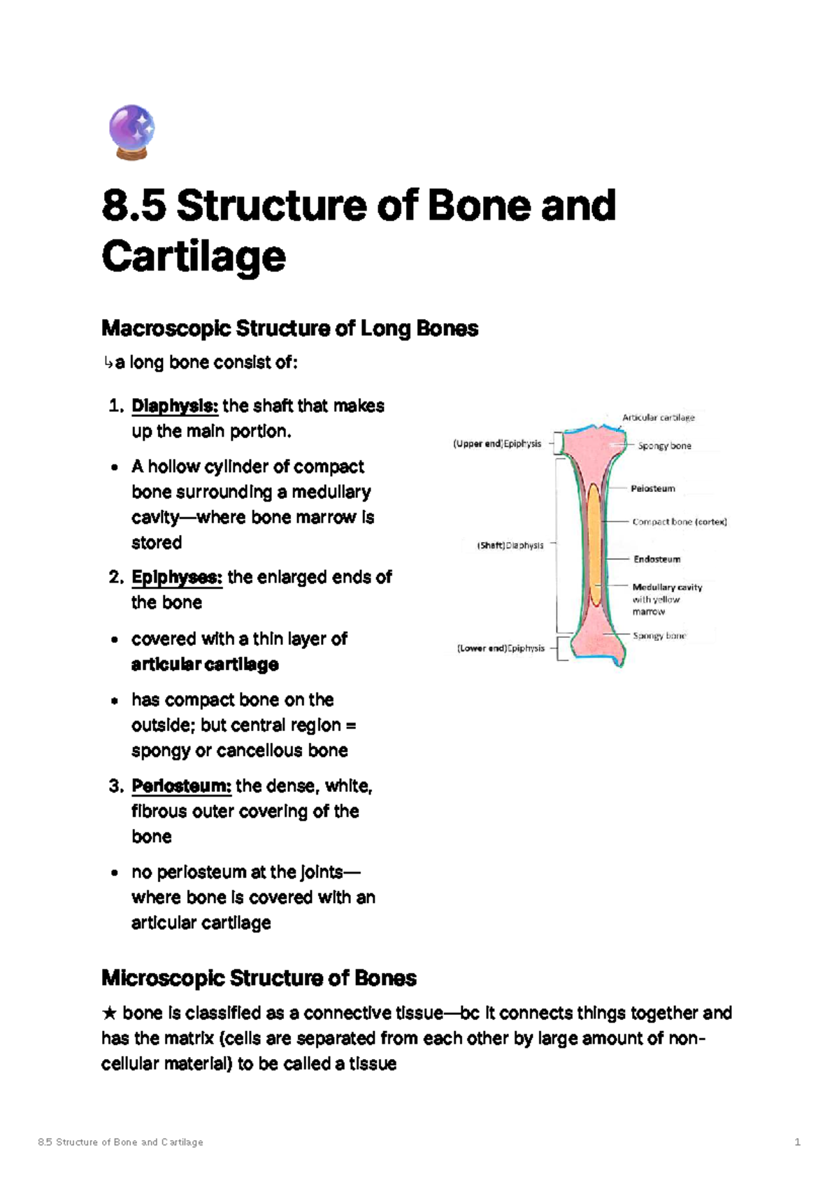 8.5 Structure of Bone and Cartilage: Macroscopic & Microscopic Overview ...