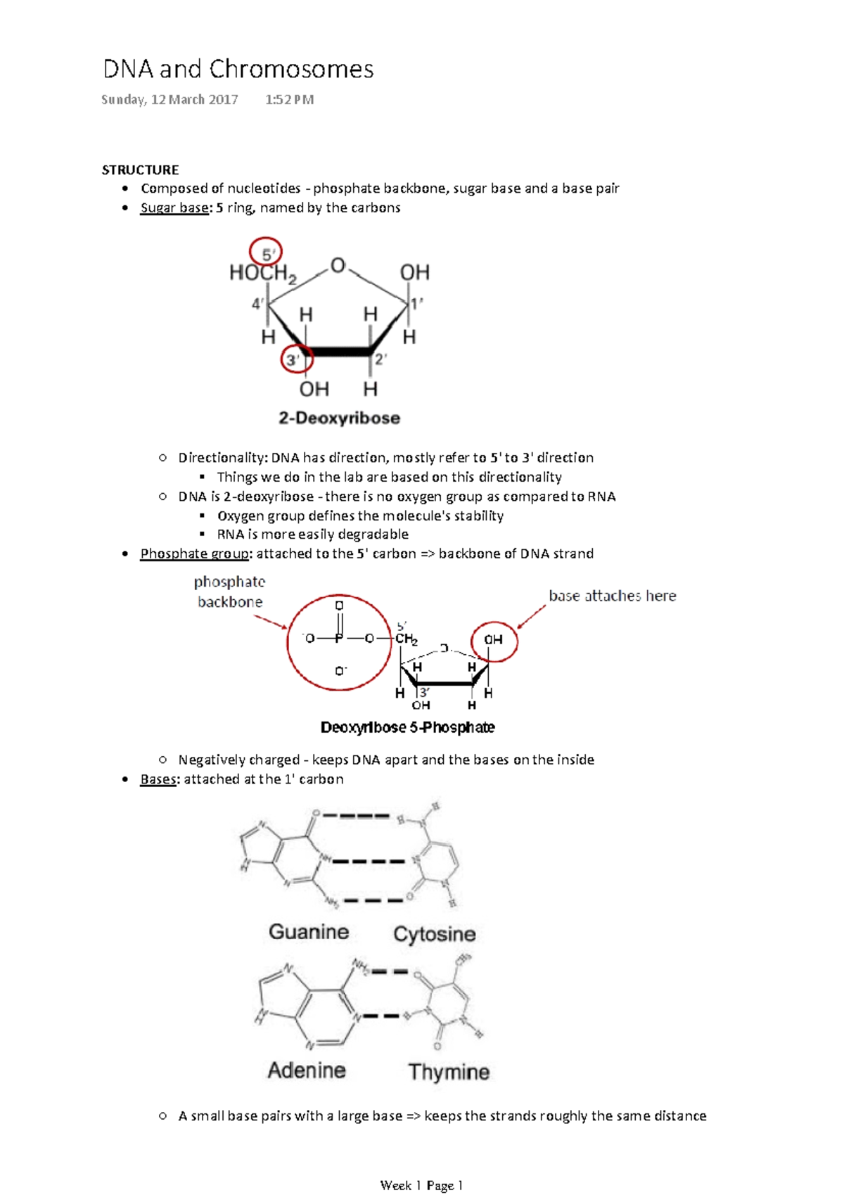 MMED2934 Lecture Notes - DNA and Chromosomes Sunday, 12 March 2017 1:52 ...