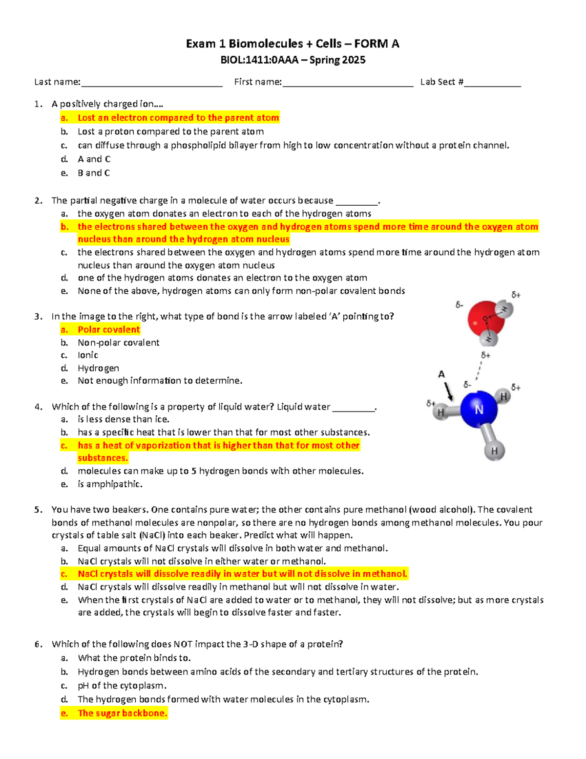 Bio 101 Exam 1 Key: Multiple Choice Answers for Spring 2025 - Studocu