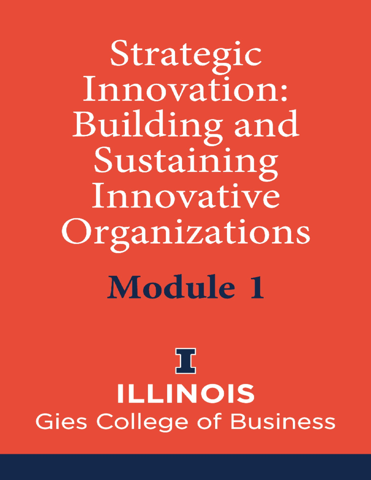 Strategic Innovation Building and Sustaining Innovative Organizations ...