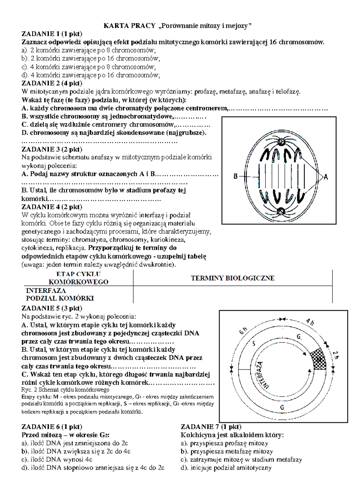 Mitoza mejoza podziały komórkowe test - KARTA PRACY „Porównanie mitozy