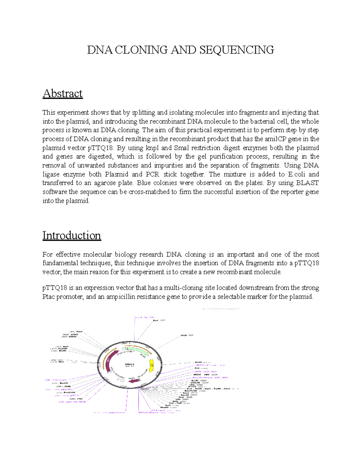 Prac-1 final report - professor paul - DNA CLONING AND SEQUENCING ...