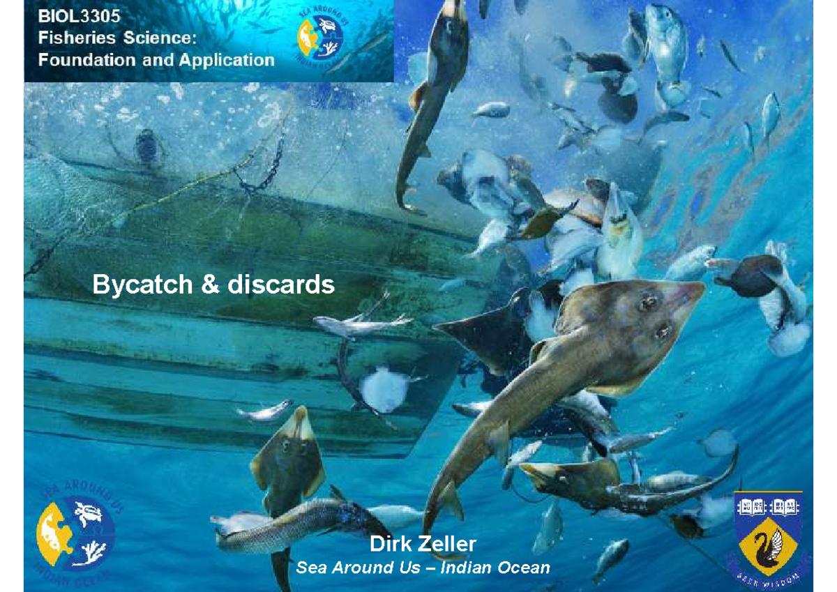 Zeller BIOL3305 Lec 11: Understanding Bycatch & Discards in Fisheries ...