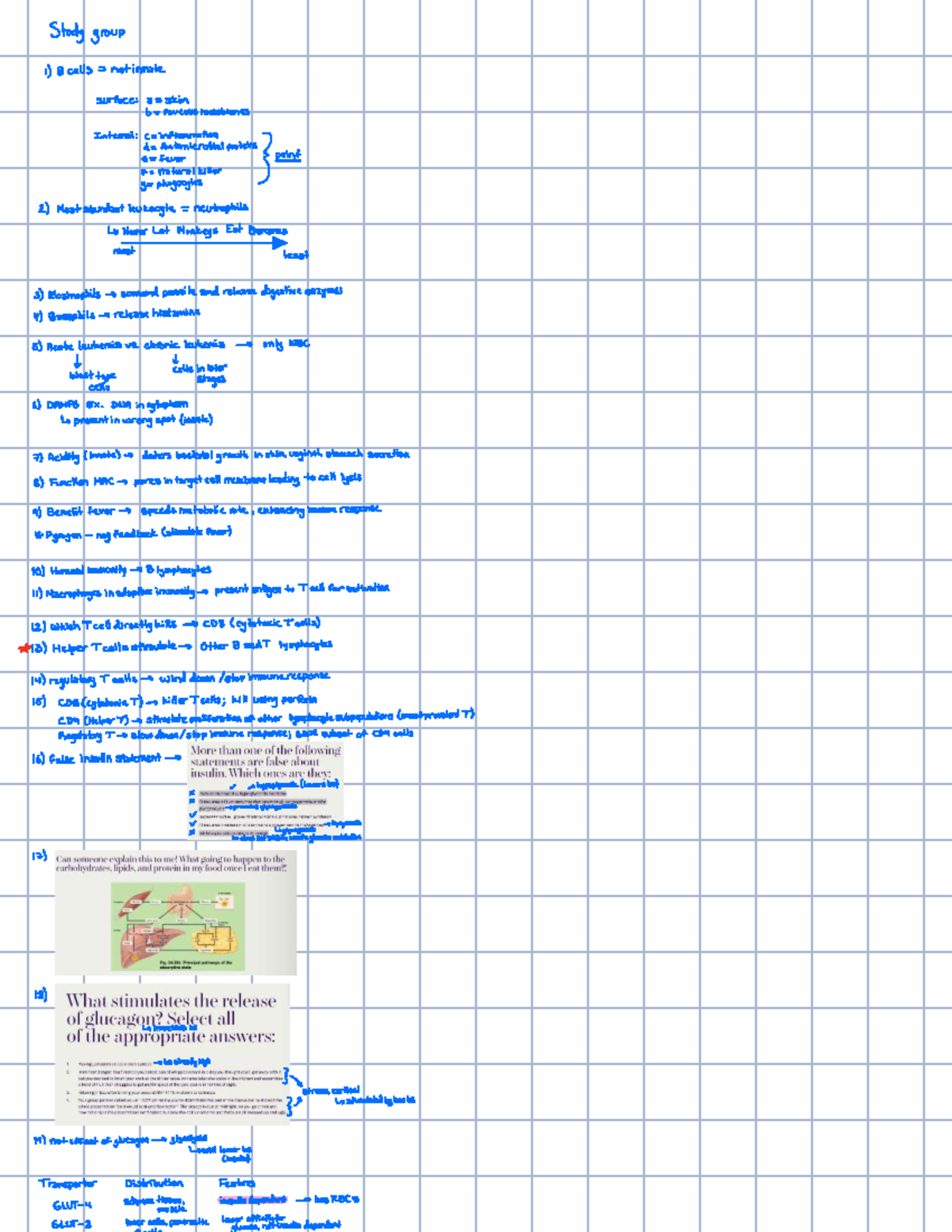 ANP1115 - Study Guide on Innate Immunity and Blood Cells - Studocu