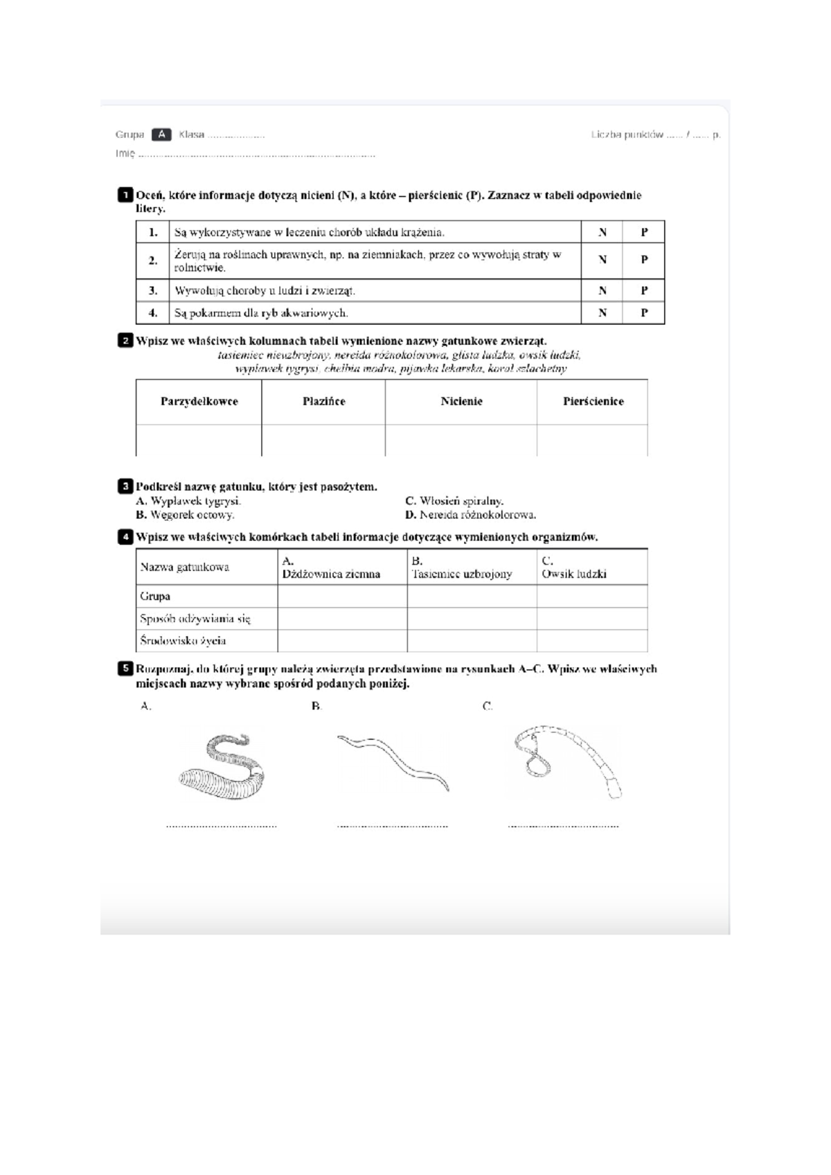 Klasa 6 biologia plazince nicienie tasiemce - Grupa A Klasa Liczba
