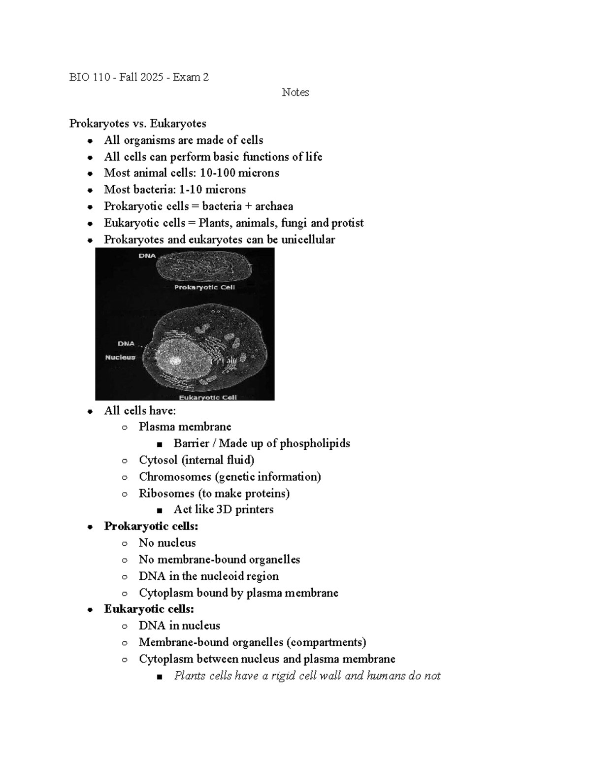 BIO 110 Fall 2025 - Final Exam Notes on Prokaryotes & Eukaryotes - Studocu