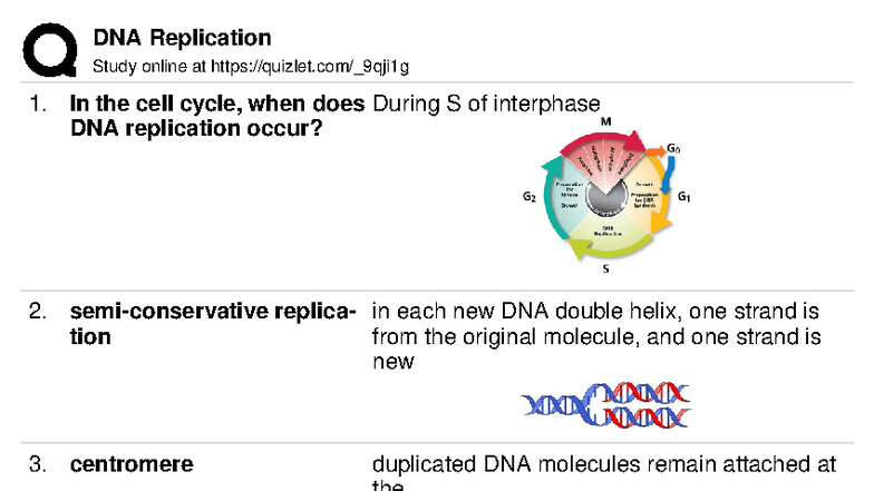 DNA Replication Quizlet 5: Key Concepts and Processes - Studocu