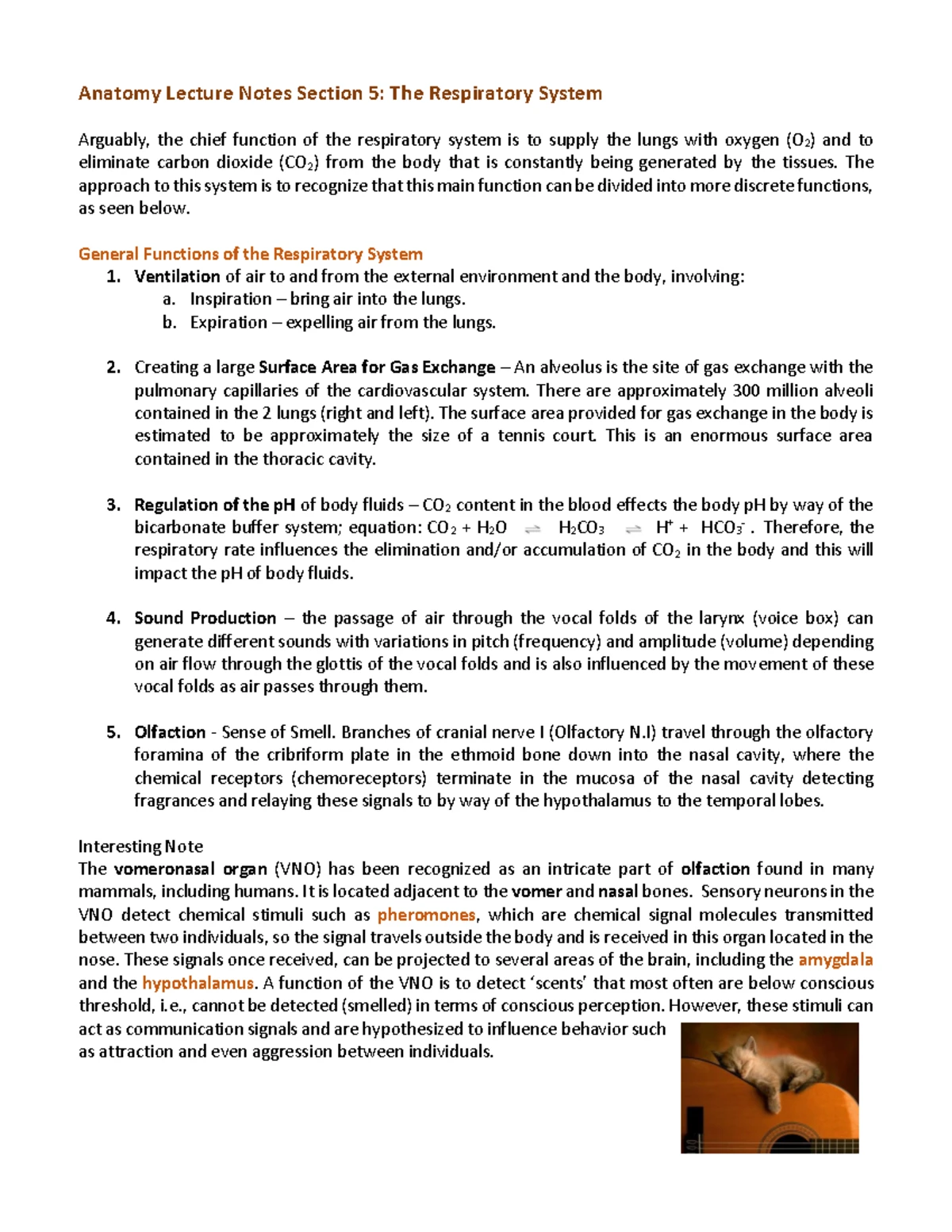 692834278 Oncology Nursing: Key Terms and Cancer Management Overview ...