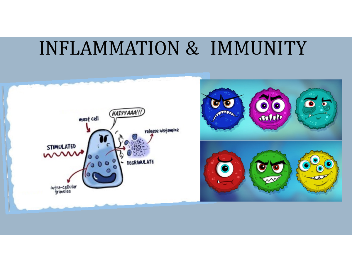 Pharmacology of Inflammation and Immune Response (NURS 101) Lecture ...