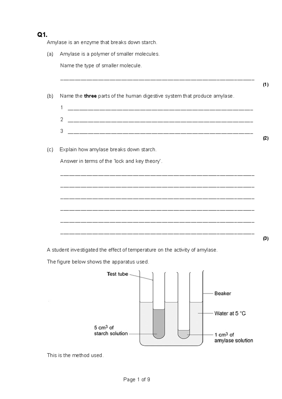 Hw 03 Enzyme Practice Questions And Investigations Studocu