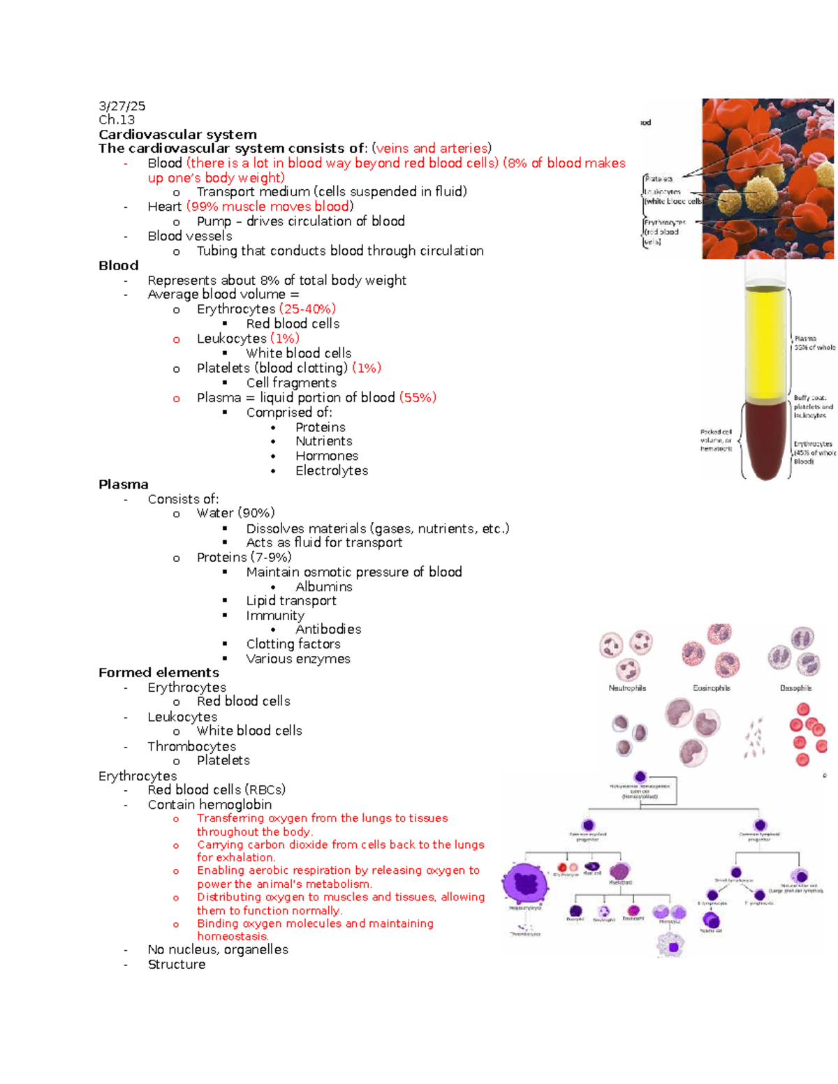 Cardiovascular System Overview and Key Concepts for EXAM - 3/27/ Ch ...