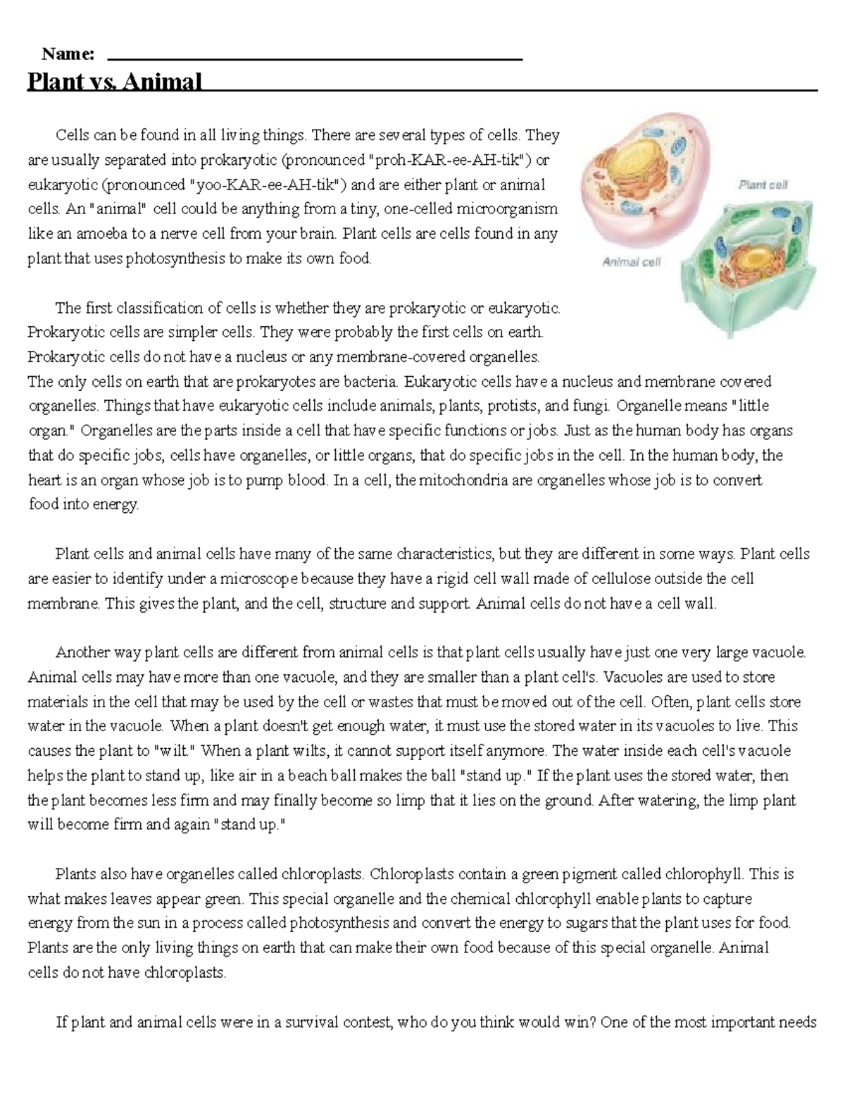 Plant vs Animal Cells Worksheet: Understanding Eukaryotic Differences ...