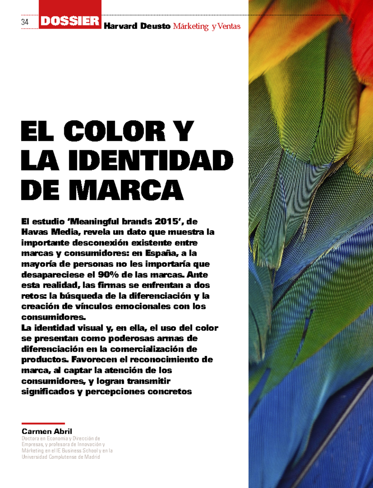 El Color y la Identidad de Marca en Estrategias de Marketing - Studocu