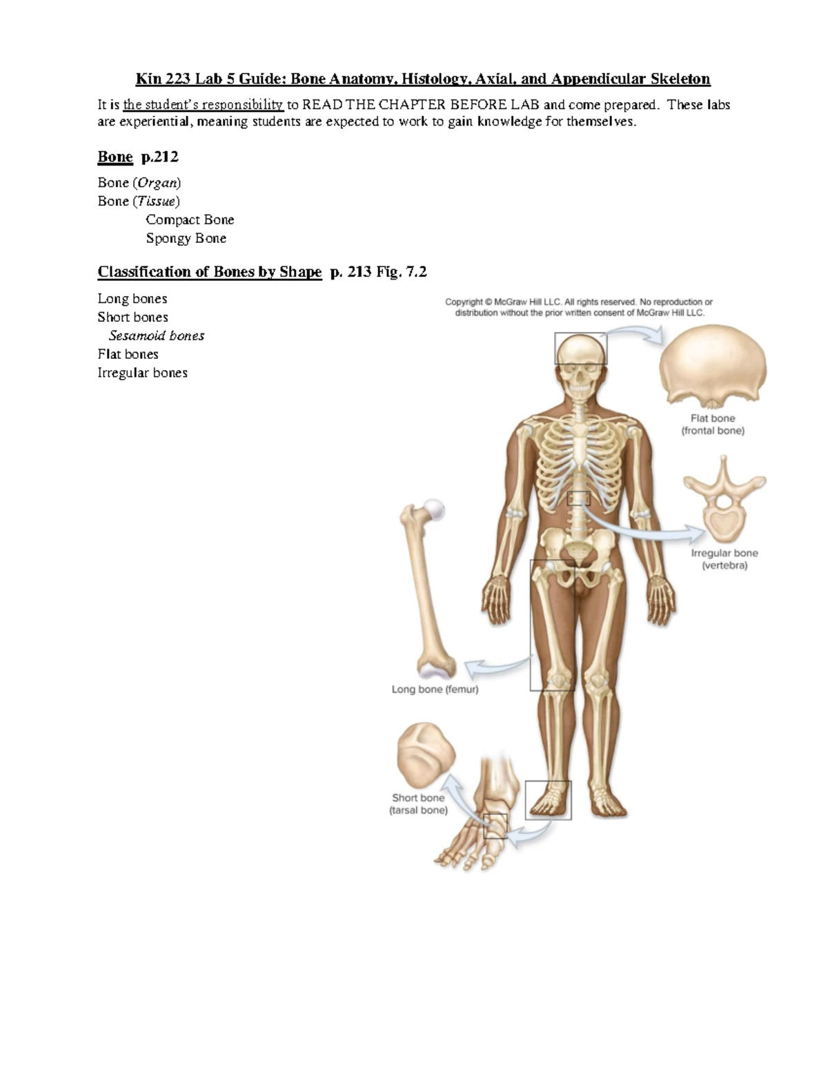 thumb_1200_1553.webp