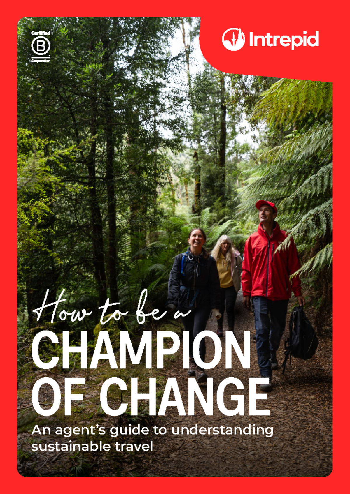 Sustainable Travel Guide for Agents: Embracing Responsible Tourism ...