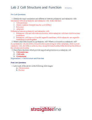 CHEM101L+Lab+3 - This lab covers data analysis and graphing - Student ...
