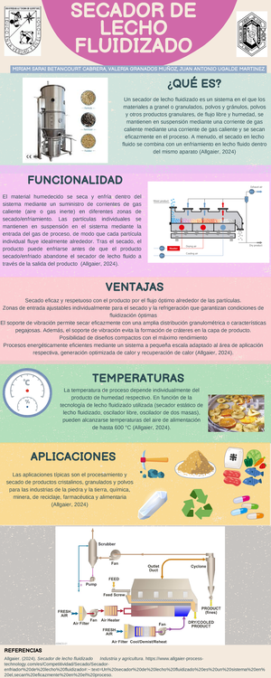 Tesina Maestria Espiritual - EDUCACION AVANZADA CHAPINGO Centro de ...
