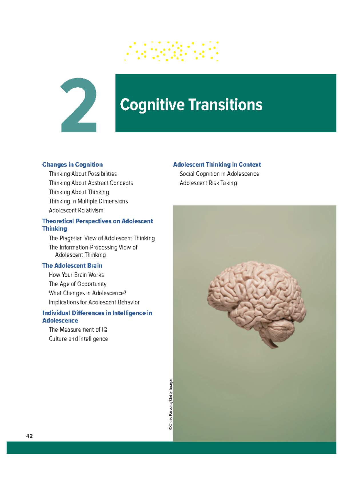 Chapter 2-Cognitive Transitions - 42 ©Chris Parsons/Getty Images ...