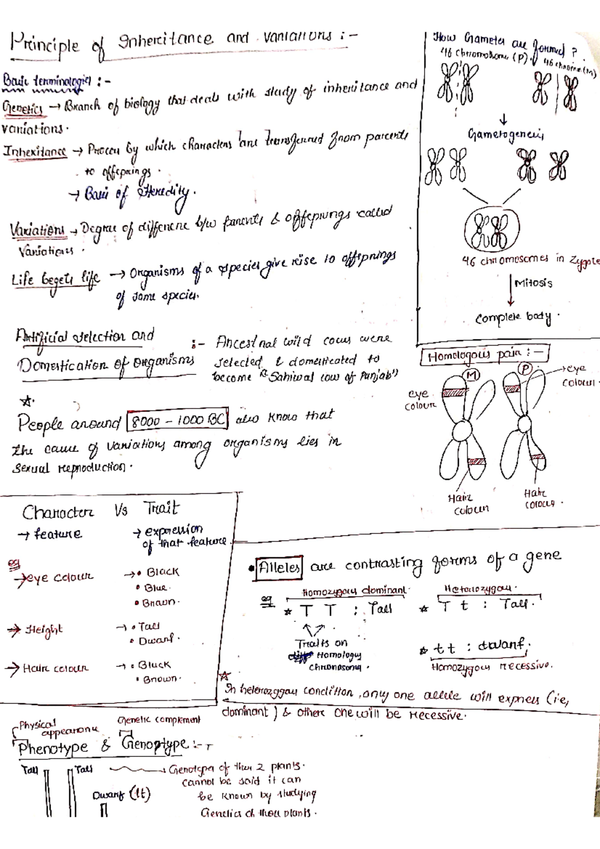Doc Scanner 03-Jan-2025 7-25 pm - Principle of Inheritance and How 46 ...