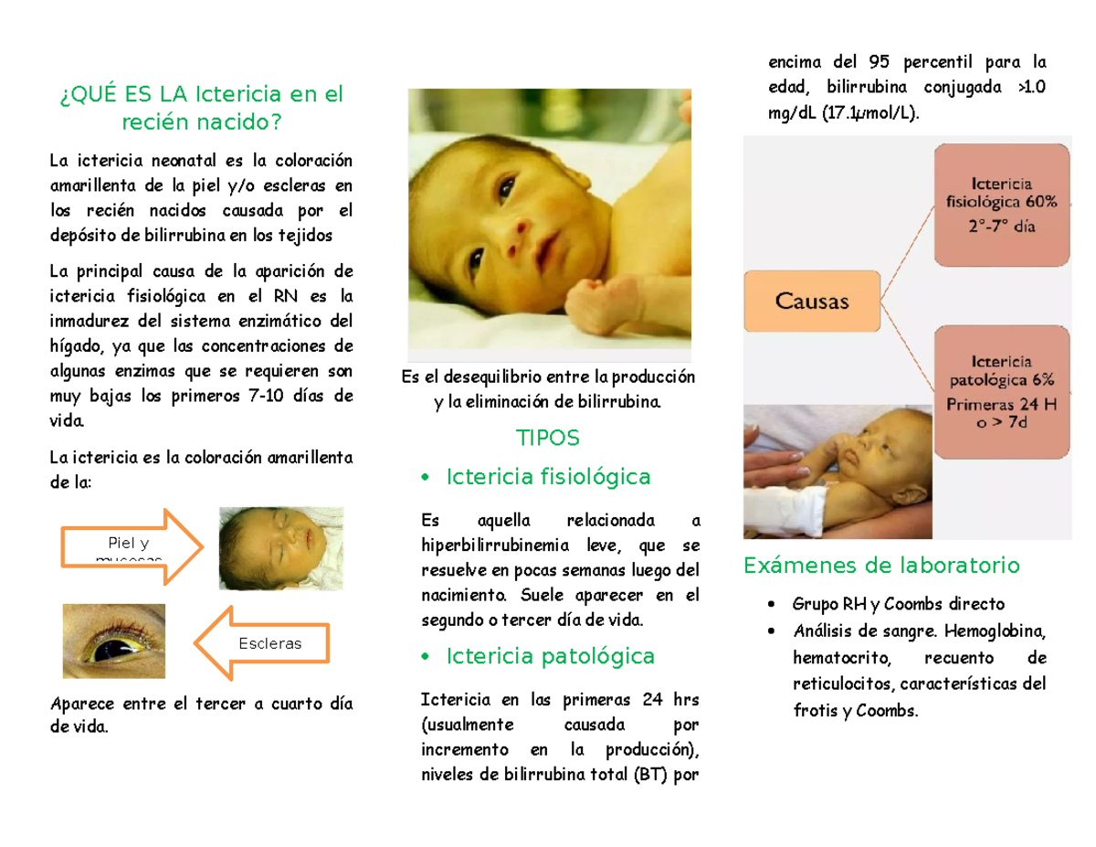 Con Ictericia Bilirrubina Alta Bebes Consecuencias Piel Amarilla