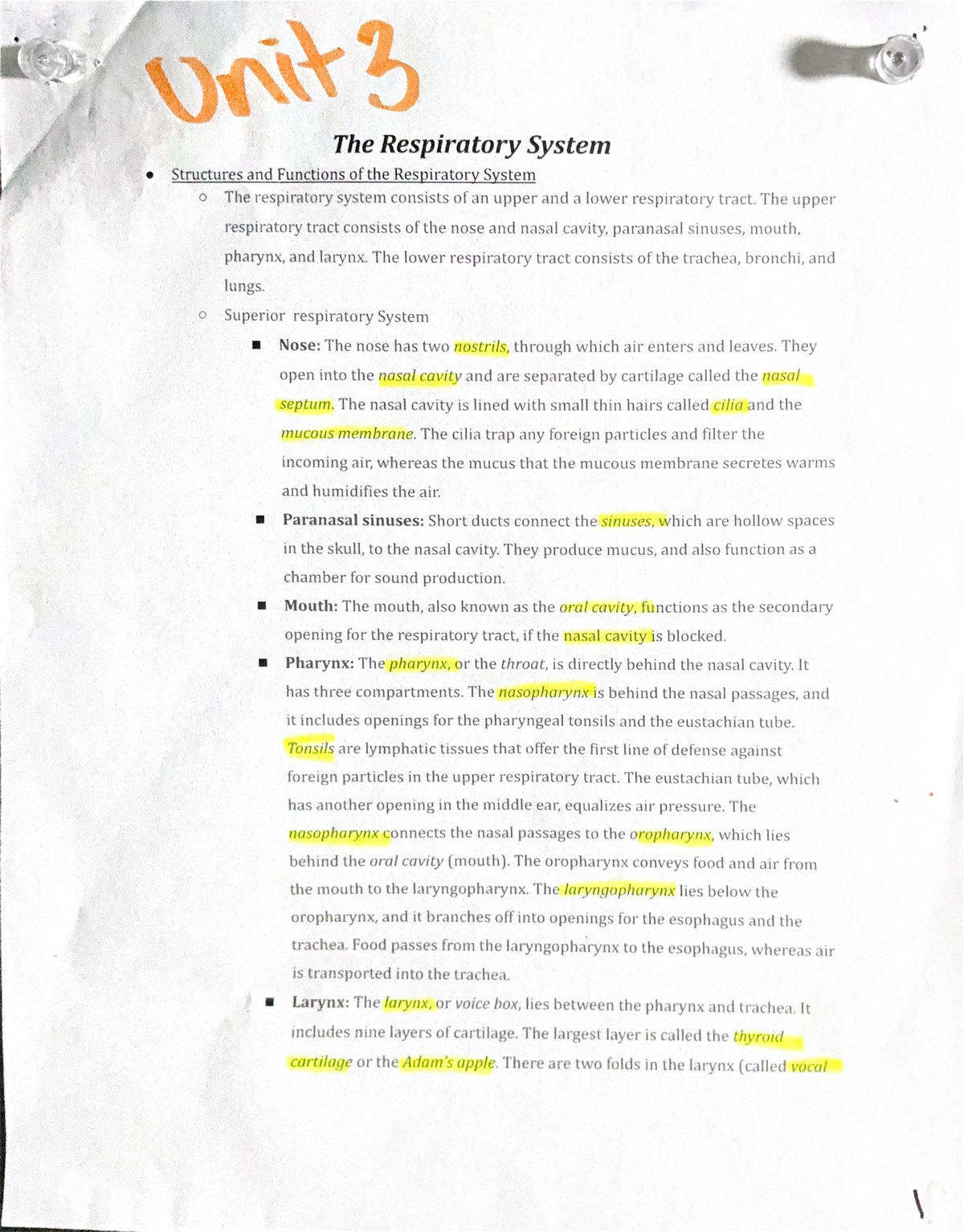 Unit 3: The Respiratory System - Structures & Functions Overview - Studocu
