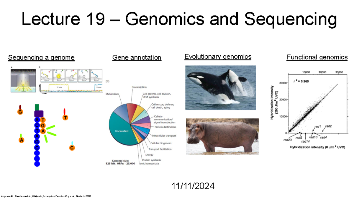 Genomics and Sequencing: Methods, Studies, and Evolutionary Insights ...