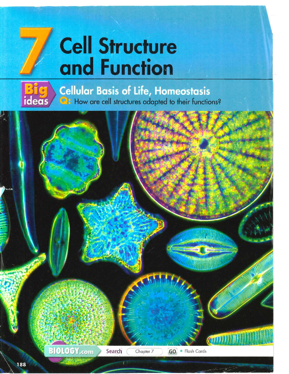 Biology, Miller Levine, Ch07 Lesson Notes: Cell Structure and Function ...